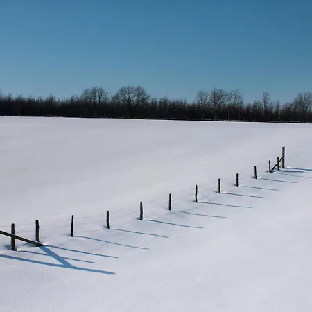 In With Sauna 불랑쥬