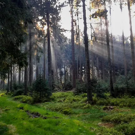 In With Sauna Feriehus *