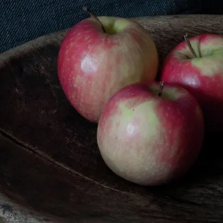 In With Sauna 불랑쥬